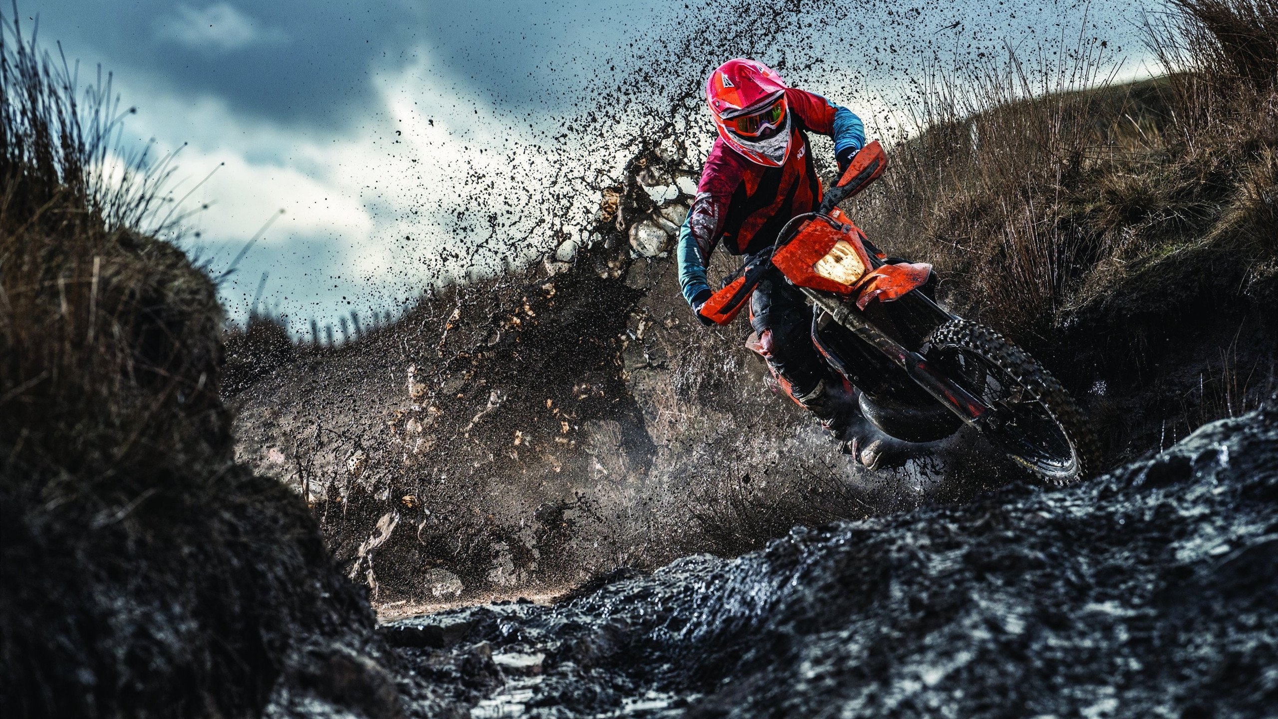 外教沟通能力不足影响队内氛围,与外界沟通能力欠缺